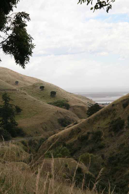 Nieuw-Zeeland 2011 - 1069